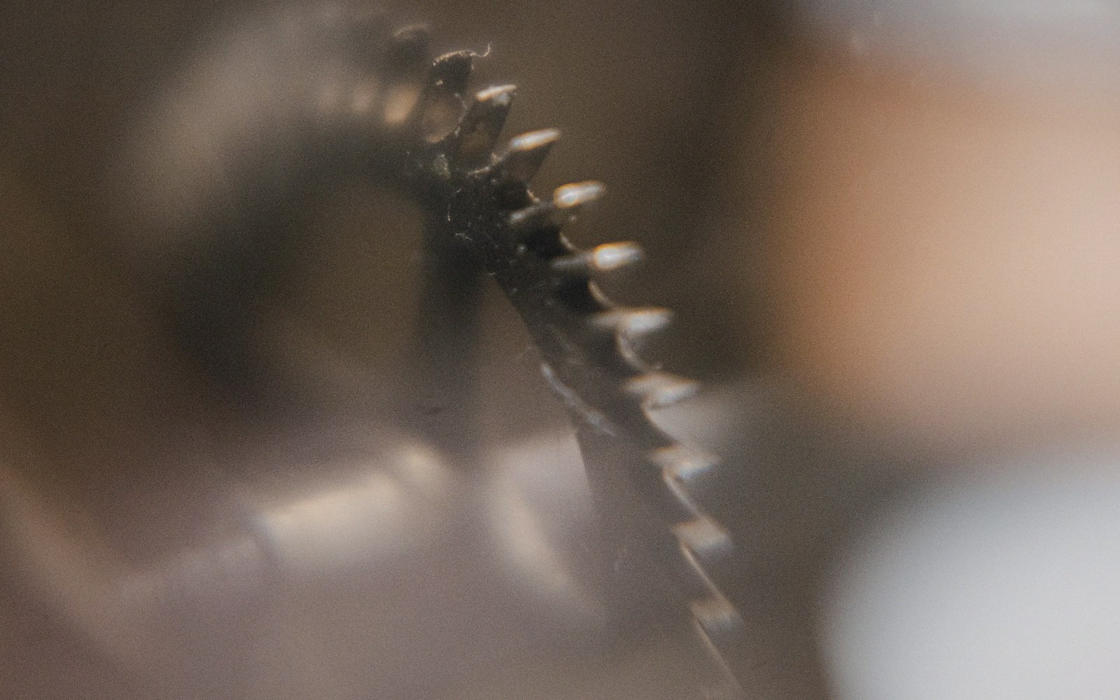 Close-up of sharp metal saw teeth curving along a blade's edge